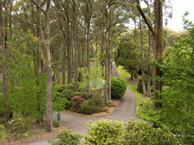 Mount Lofty Botanic Garden - Geraldton Accommodation 0