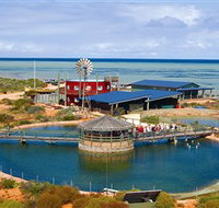 Ocean Park Aquarium - Geraldton Accommodation