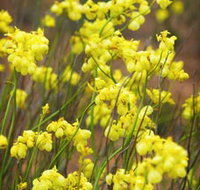 Mount Madden Scenic Drive - Geraldton Accommodation