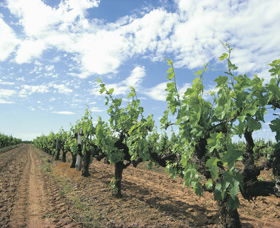 Karridale WA Geraldton Accommodation