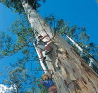 Dave Evans Bicentennial Tree - Geraldton Accommodation