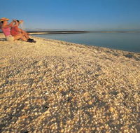 Shell Beach - Geraldton Accommodation