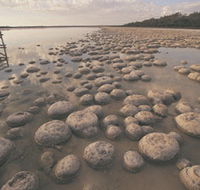 Yalgorup National Park - Geraldton Accommodation