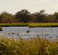 Anytime Adventures in Mandurah  the Peel Region - Geraldton Accommodation
