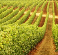 Happs Wines - Geraldton Accommodation