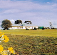 Lucindale Country Club - Geraldton Accommodation
