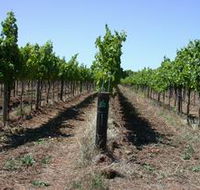 Temple Bruer Winery - Geraldton Accommodation