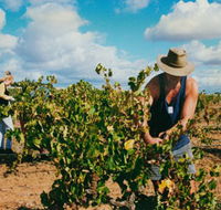 Torbreck Vintners - Geraldton Accommodation