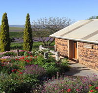 Coriole Vineyards - Geraldton Accommodation