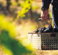 Burge Family Winemakers - Geraldton Accommodation