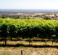 Braydun Hill Vineyard - Geraldton Accommodation