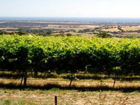 Braydun Hill Vineyard - Geraldton Accommodation 0