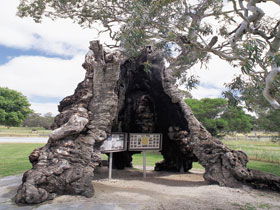 Springton SA Geraldton Accommodation
