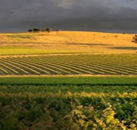 Kellermeister Wines - Geraldton Accommodation