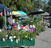 Meadows Monthly Market - Geraldton Accommodation