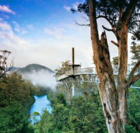 Tahune Adventures Tasmania - Geraldton Accommodation