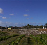 Deep Creek Wines and Alpacas - Geraldton Accommodation