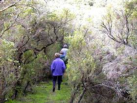Jack And Hilda McArthur Walk - Geraldton Accommodation 0