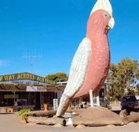 The Big Galah - Geraldton Accommodation