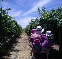 McLaren Vale Orchards - Geraldton Accommodation