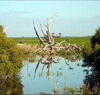 Bool Lagoon Game Reserve and Hacks Lagoon Conservation Park - Geraldton Accommodation