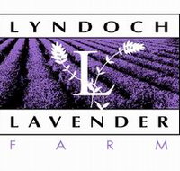 Lyndoch Lavender Farm and Cafe - Geraldton Accommodation