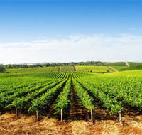 Aldinga Bay Winery - Geraldton Accommodation