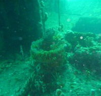 Wallaroo Scuba Club - Geraldton Accommodation