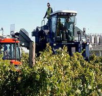 Ballast Stone Estate Wines Pty Ltd - Geraldton Accommodation