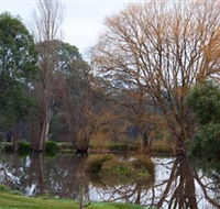 Gemtree Wetlands Ecotrail - Geraldton Accommodation