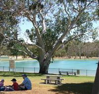 Naracoorte Nature Park and Swimming Lake - Geraldton Accommodation