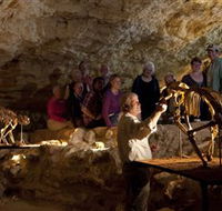 Naracoorte Caves National Park - Geraldton Accommodation