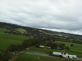 Kangarilla Road Vineyard And Winery - Geraldton Accommodation 0