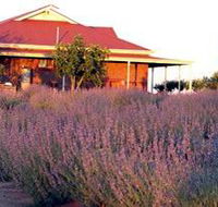 Bella Lavender Estate - Geraldton Accommodation
