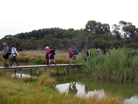 Lavender Federation Trail - Geraldton Accommodation 1