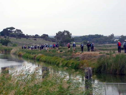 Lavender Federation Trail - Geraldton Accommodation 2