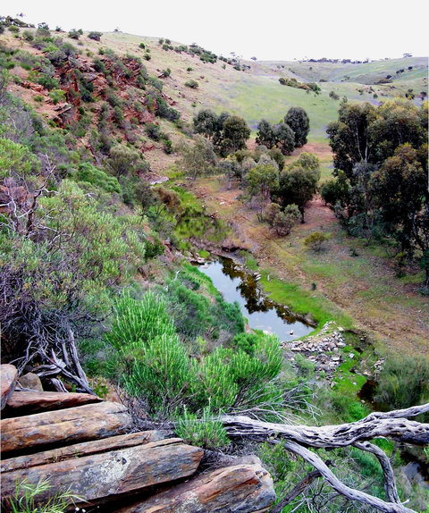 Lavender Federation Trail - Geraldton Accommodation 3
