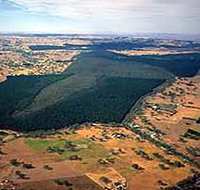 Mount Crawford Forest Reserve - Geraldton Accommodation