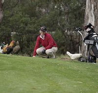 Tasmania Golf Club - The - Geraldton Accommodation