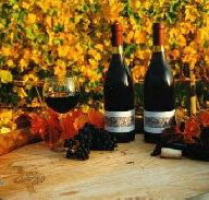 Craigow Vineyard - Geraldton Accommodation