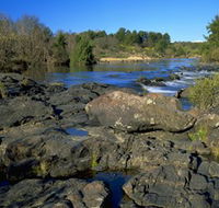 Pine Island to Point Hut Reserve - Geraldton Accommodation