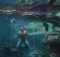 Crocosaurus Cove - Geraldton Accommodation
