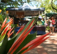 Nightcliff Markets - Geraldton Accommodation