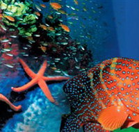 Indo Pacific Marine - Geraldton Accommodation