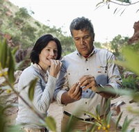 Simpsons Gap - Geraldton Accommodation