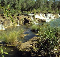 Flora River Nature Park - Geraldton Accommodation