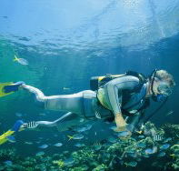 Kirra Reef Dive Site - Geraldton Accommodation