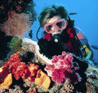 Nine Mile Reef Dive Site - Geraldton Accommodation