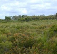 Pine Ridge Conservation Park - Geraldton Accommodation