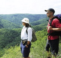 Sunshine Coast Hinterland Great Walk - Geraldton Accommodation